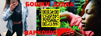 прущий лед Кингисепп