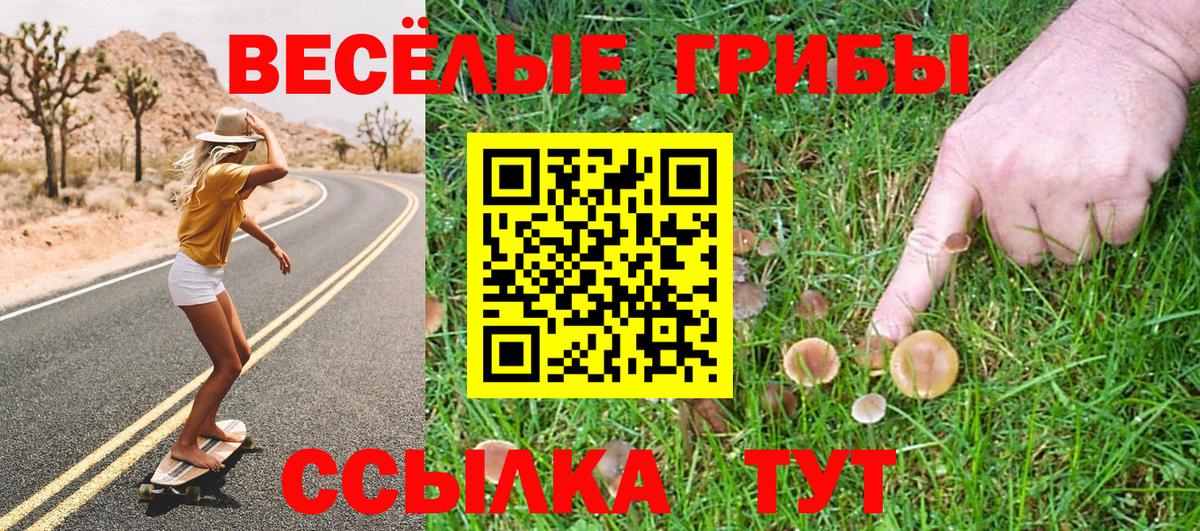 Галлюциногенные грибы мухоморы Юрга